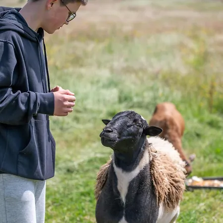 بيت للعطل Porzeczkowe