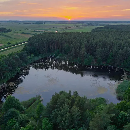 Porzeczkowe
